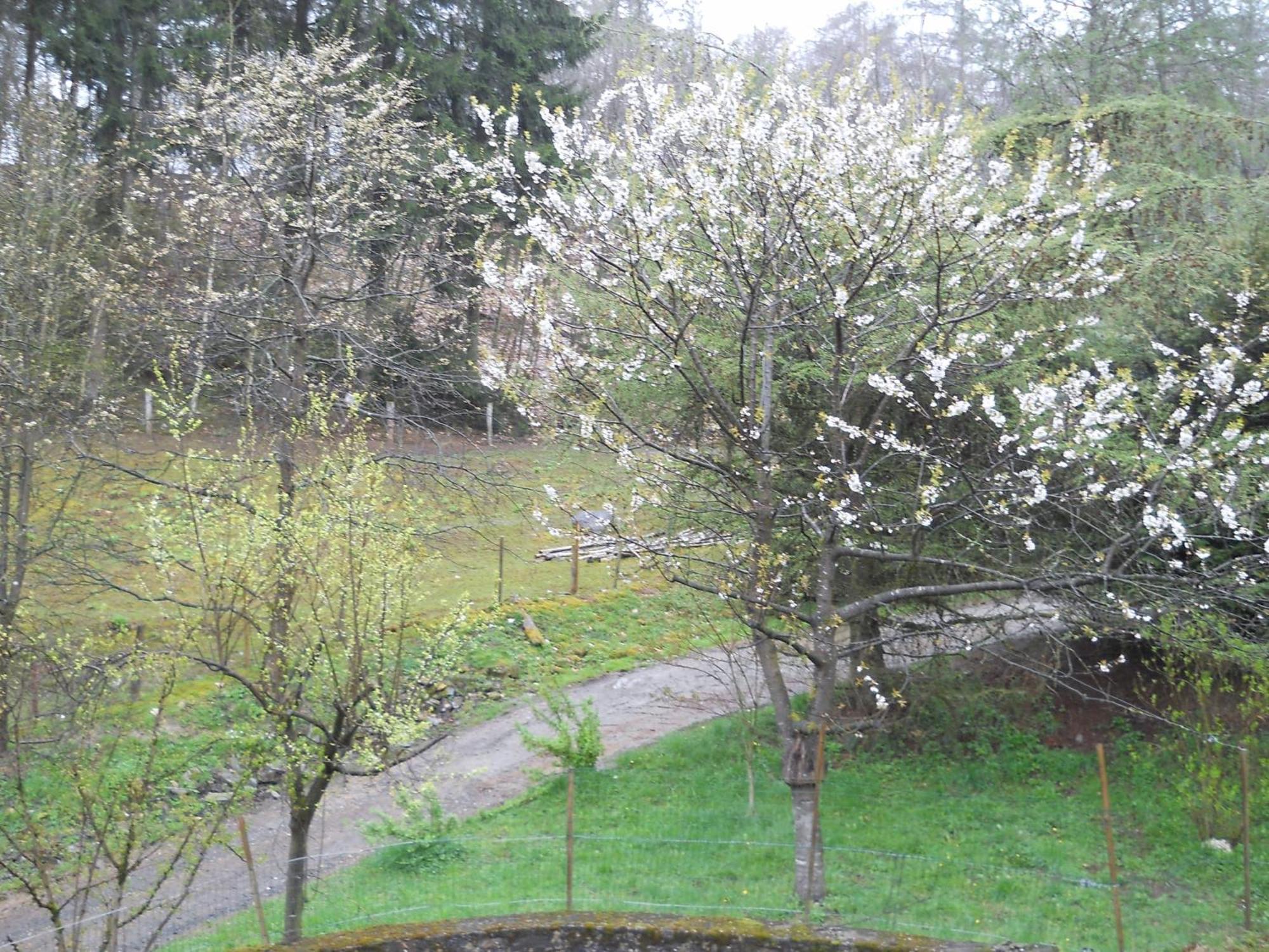 Le K D'Or Otel Bouillon Dış mekan fotoğraf